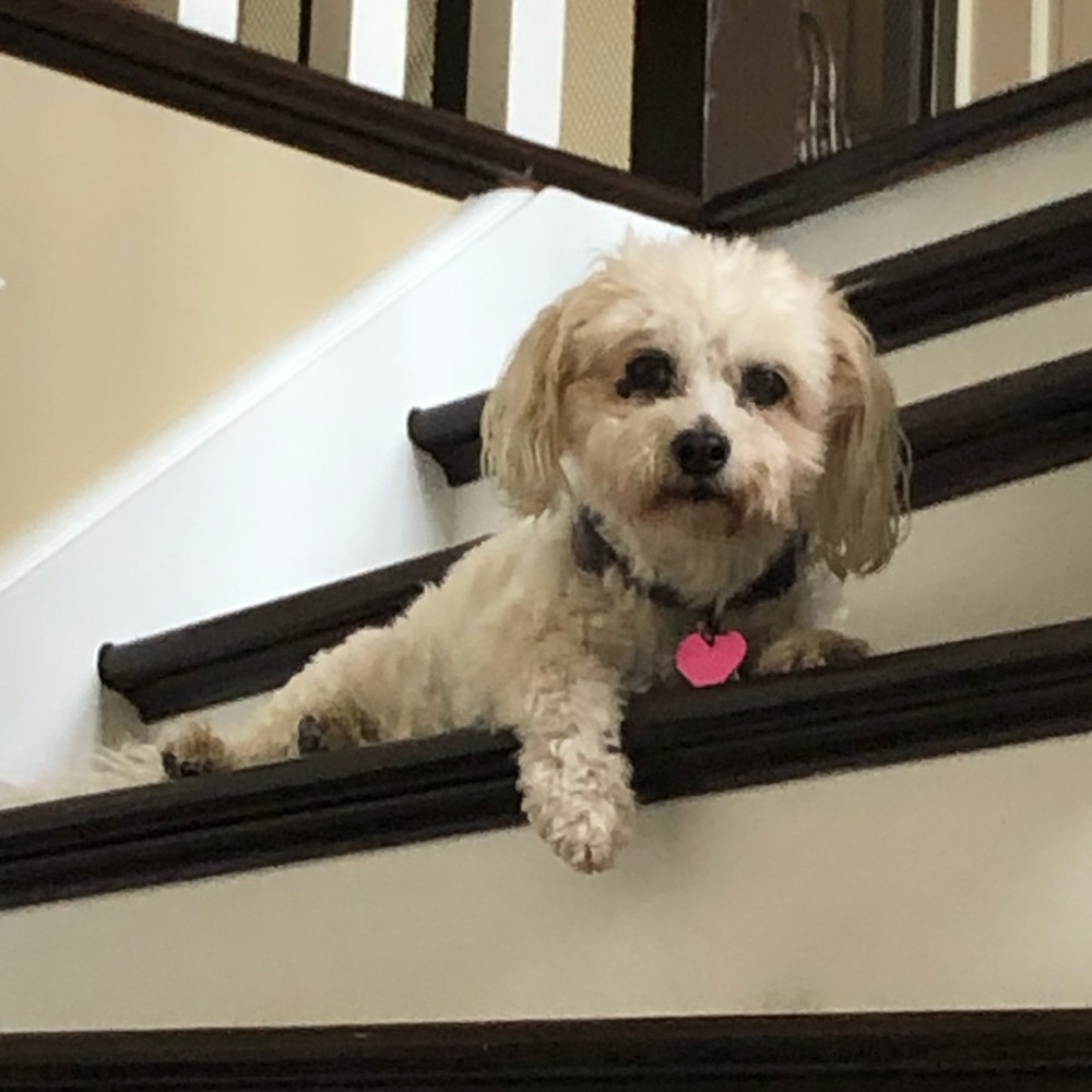 Meet your Posher, Robert